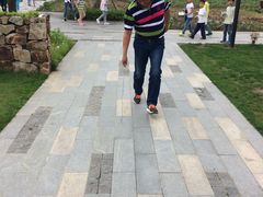 -田园东方蜜桃村的田野营地