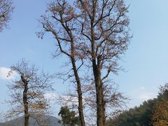 -会稽山峡洞漂流-上青古道