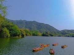 -深圳仙湖植物园