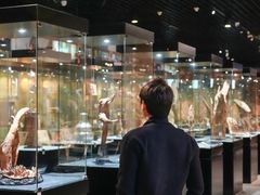 -香市公园-中国沉香文化博物馆