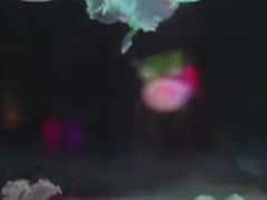 -苏州海洋馆