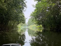 -溱湖国家湿地公园