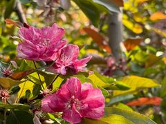 -元大都城垣遗址公园