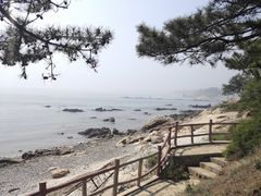 -鼎香缘海鲜自助火锅烤肉(锦辉购物广场店)