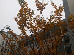 -江南大学(蠡湖校区)
