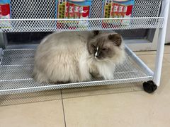 -美迦爱-牙专科·兔科·骨科诊疗中心(北苑店)