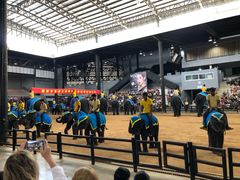 -东芭乐园