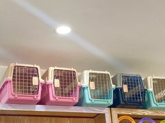 -四月宠物医院·猫专科·心脏专科·内科(转塘店)