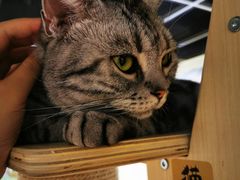 -猫和宫(六道口店)