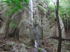 -六里坪国家森林公园