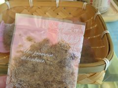 -云朵上的鱼(莘庄店)