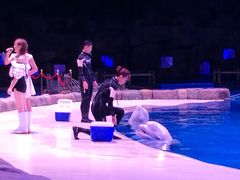 -华夏文旅海洋公园