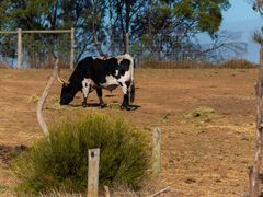 -威勒比开放式动物园