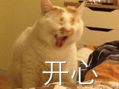 -魏家凉皮(大雁塔南广场餐厅)