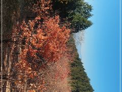 -北京十三陵国家森林公园蟒山景区
