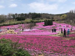 -棒棰岛宾馆景区