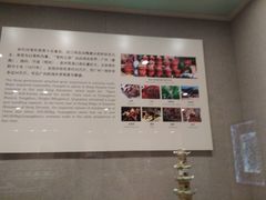 -南越王博物院(王宫展区)