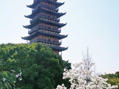 -常熟方塔园
