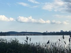 -东湖落雁景区