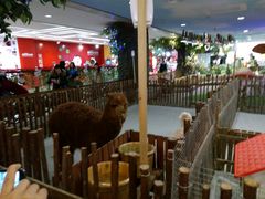-万达影城(开元商城西旺店)