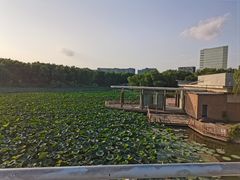 -大兴滨河森林公园