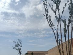 -盘龙城国家考古遗址公园