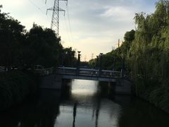 -adidas(印象城购物中心店)