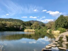 -溪口-滕头旅游景区