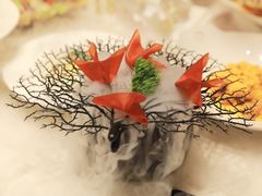 -迦南苑·新派青岛菜·生日纪念日主题餐厅
