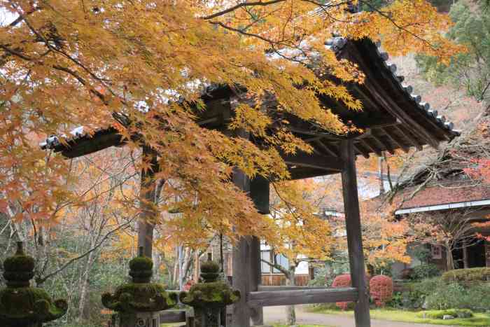 西明寺-"从高山寺下来就走到了西明寺,朋友进去逛了."-大众点评移动版