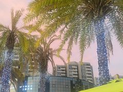 -蔡澜Pho·越南粉餐厅(海上世界店)
