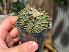 -瑞虹新天地月亮湾