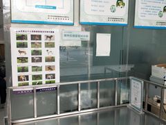 -艾吉宠物医院·疑难杂症转诊中心·猫友好(碧江路院)
