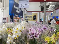 -山姆会员商店(亦庄创意生活广场店)