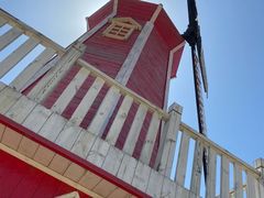 -羊亭河湿地公园