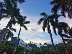 -柏悦酒店-沁园牛排海鲜西餐厅