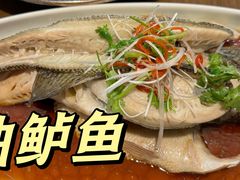 鲈鱼-二分八云雁阁(长治路店)