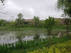 -洋湖国家湿地公园