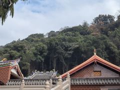 -灵光寺