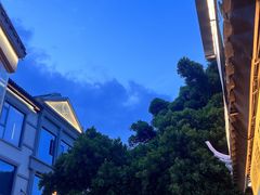 -郑州新郑国际机场-T2航站楼