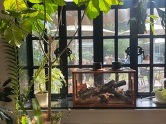 -一尺花园(安和花园店)