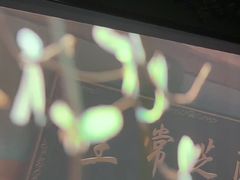 -上足·影院足道·SPA(红岭店)