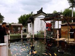 -湖鲜楼