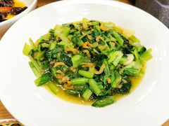 生炝木耳菜-九十九顶毡房(阜石路店)