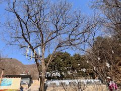 -慕田峪长城