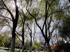 -滨湖塘西河公园