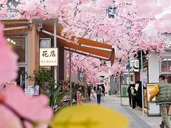 -首开·龙湖成都西宸天街