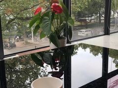 -玉兰苑一等茶餐厅