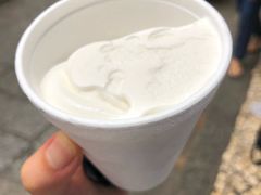 -洪馨椰子