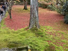-三千院